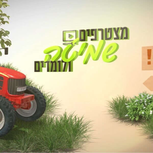 סרטון ד